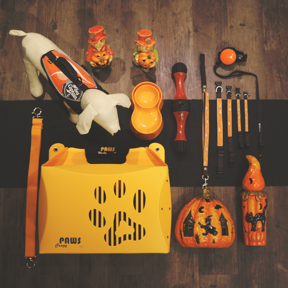 狗籠,地板上放著南瓜和其他物品。