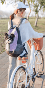 一名婦女騎著腳踏車，背包裡有一隻狗。